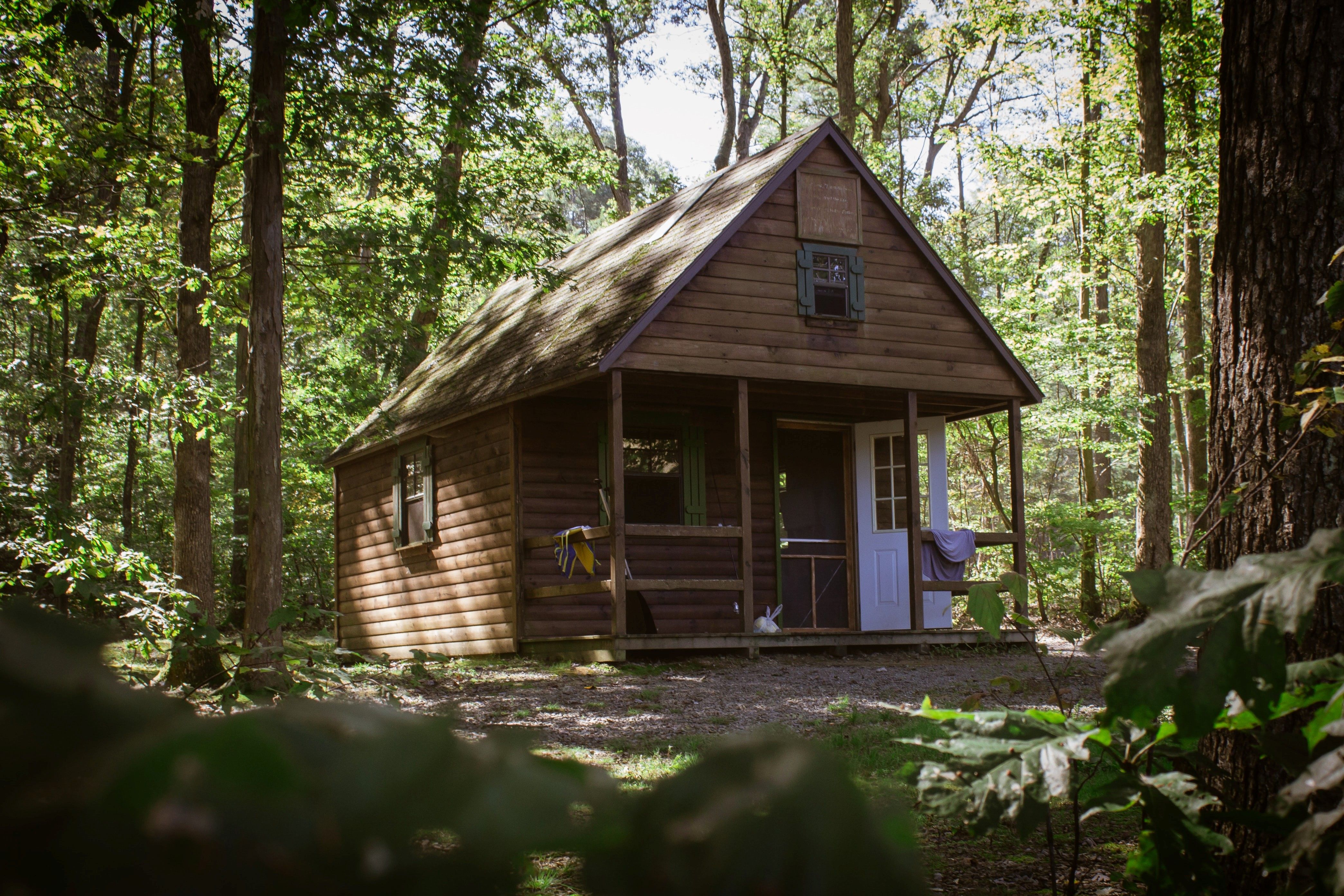 nieuws: Veluwe Verhuurt