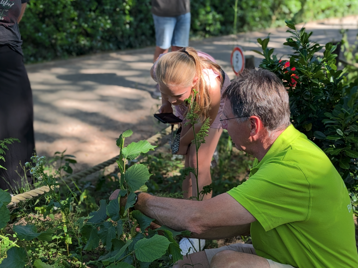 Laat jouw gasten nog meer genieten van de Veluwse natuur