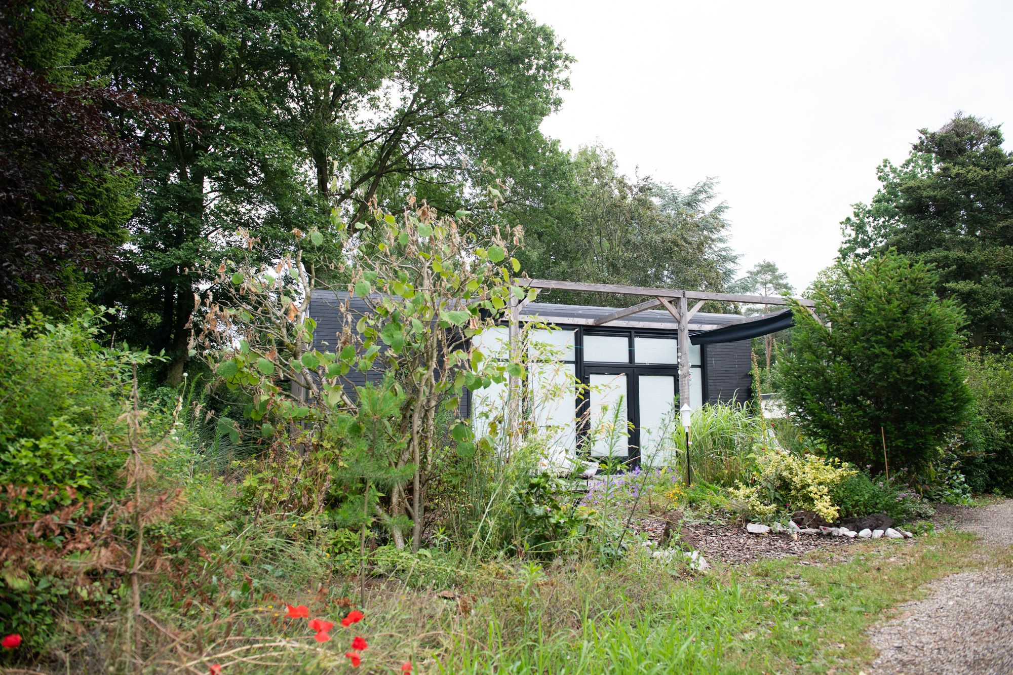 Lagen in je beplanting: een stukje bos op je park