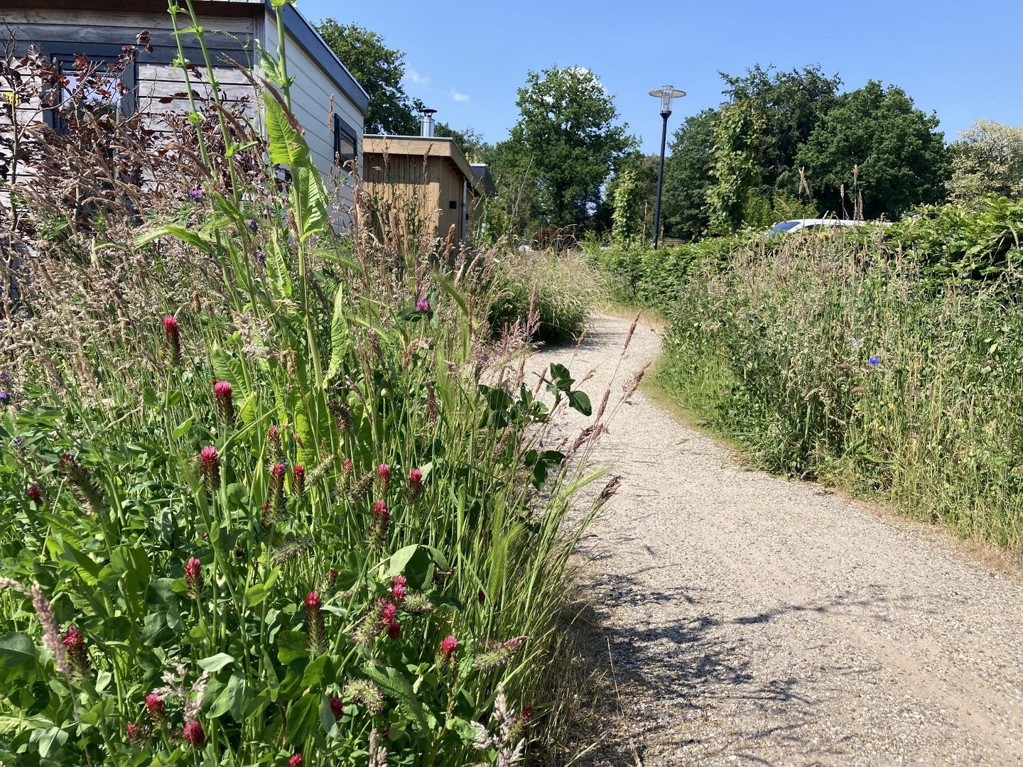 Natuurbeleving