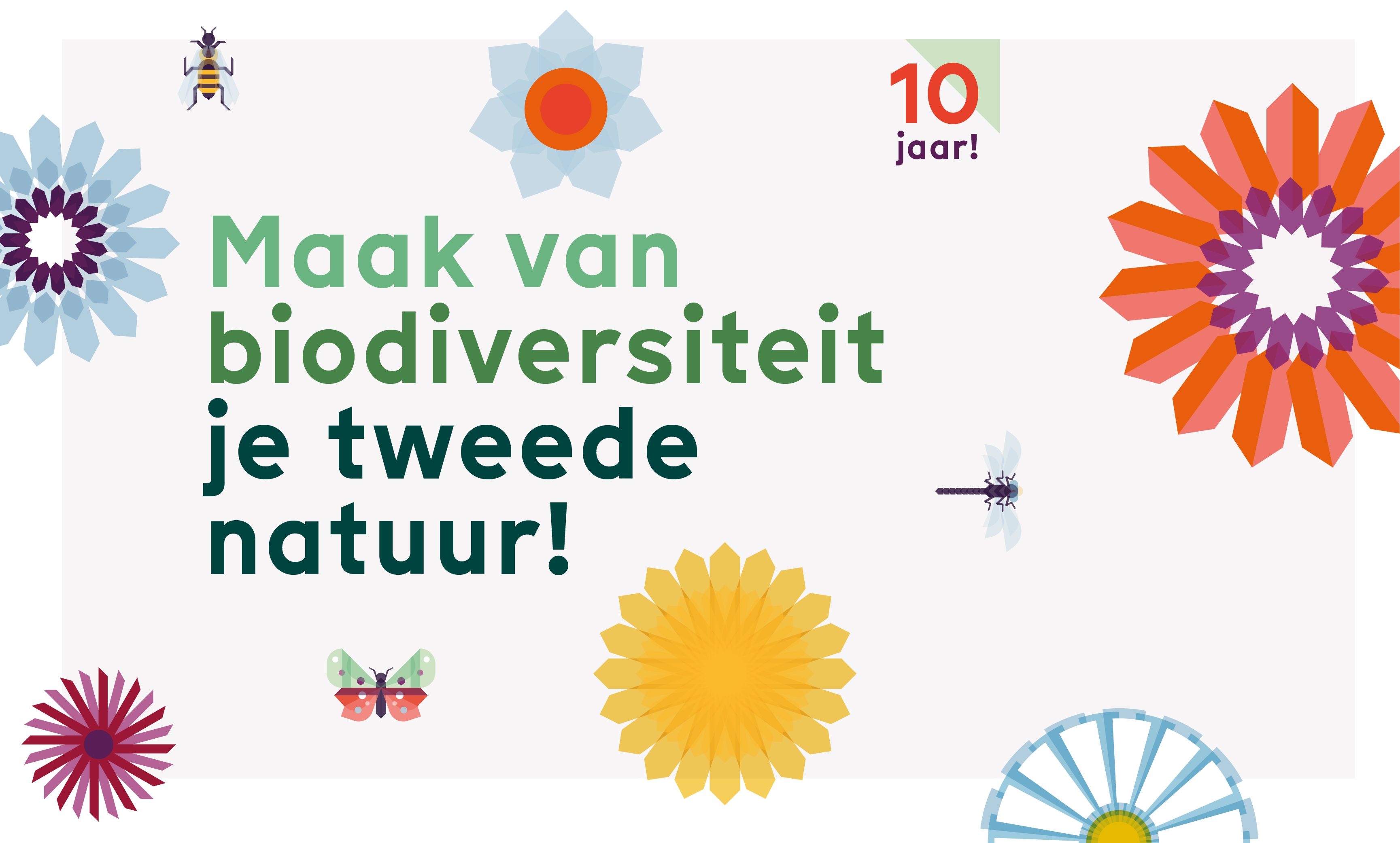 Afbeelding 10 jaar Vitale Vakantieparken! En, wie jarig is, trakteert.