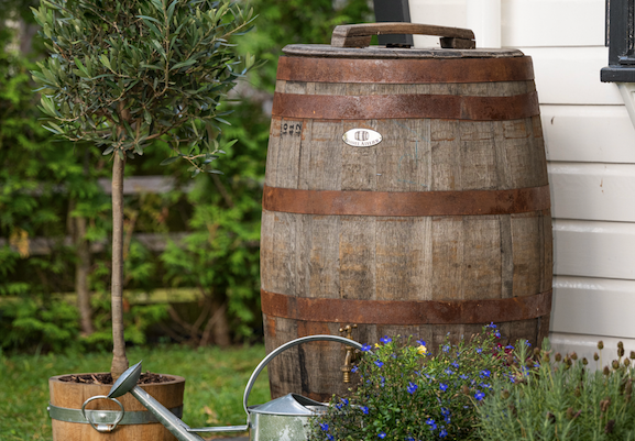 Afbeelding Geen druppel het park af