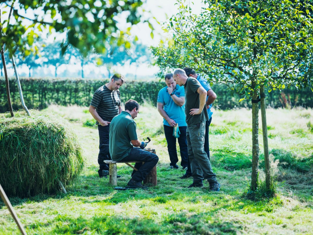 Hoofdfoto nieuws: Succesvolle cursus Natuur op je park krijgt vervolg