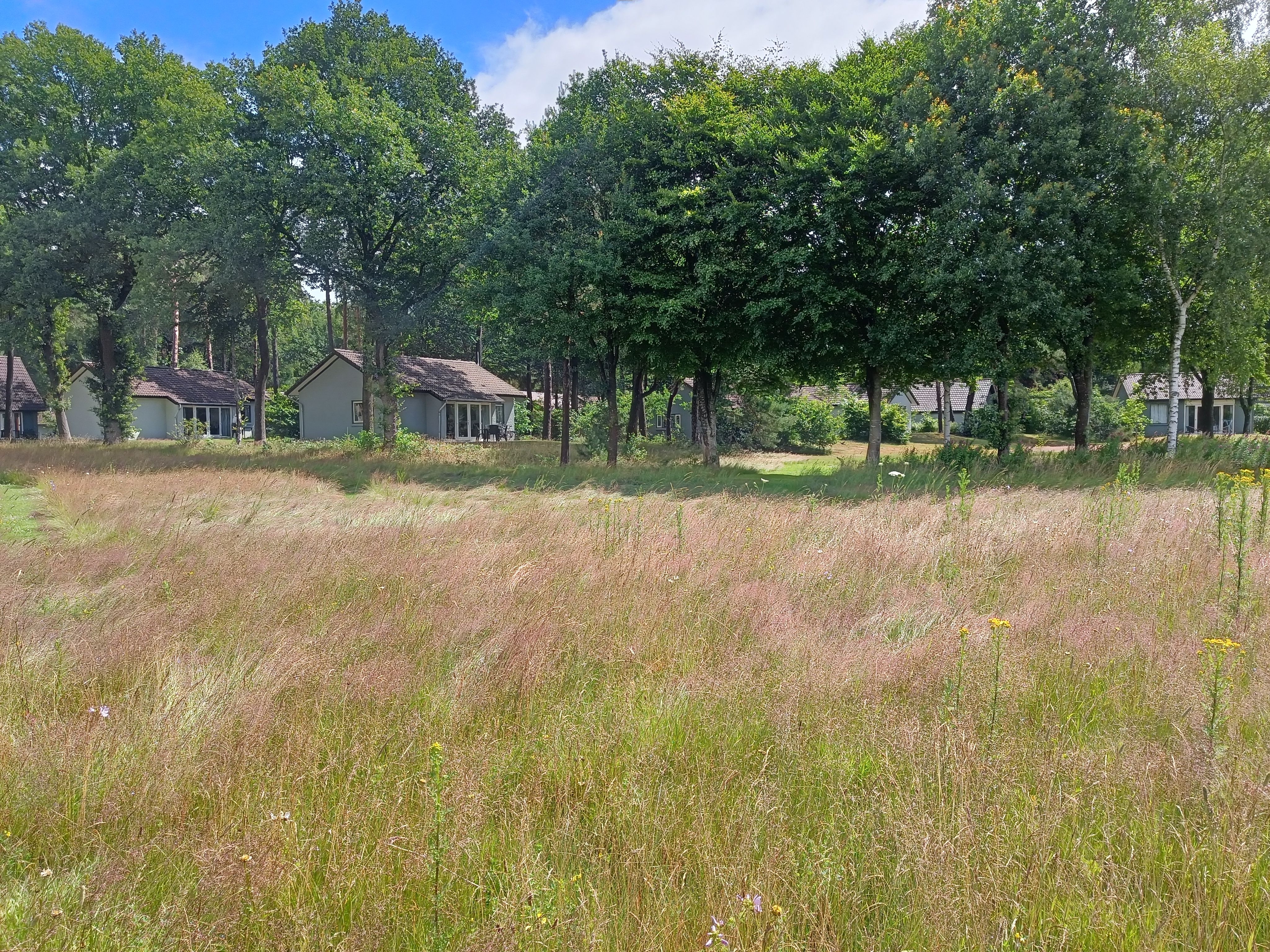 Hoofdfoto nieuws: Meld je aan voor derde ronde cursus Natuur op je park