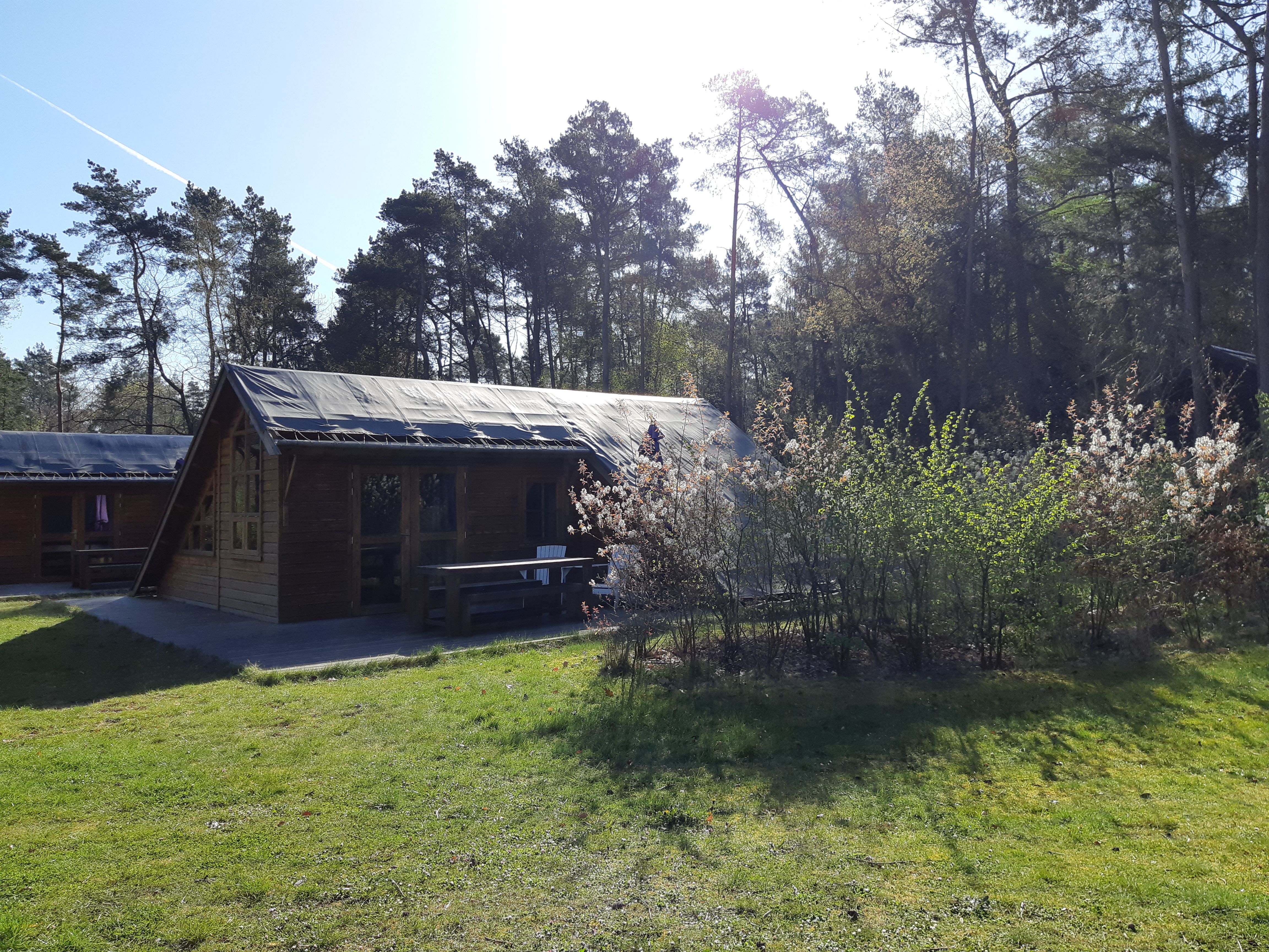 Hoofdfoto nieuws: Cursus Natuur op je park opnieuw een succes