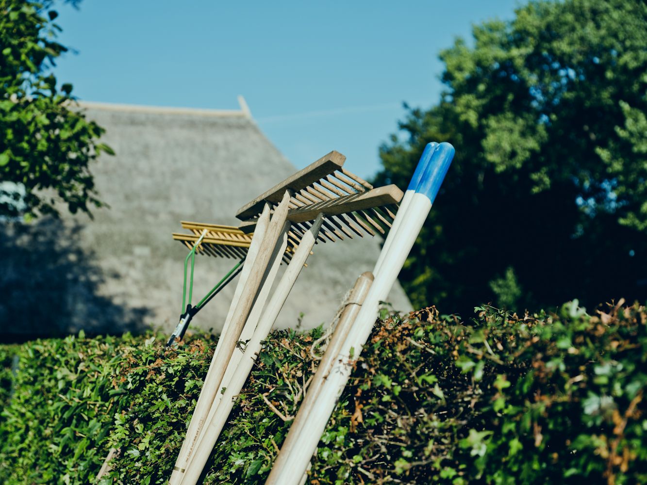 Plant-en-klaarpakketten voor uitgeponde parken