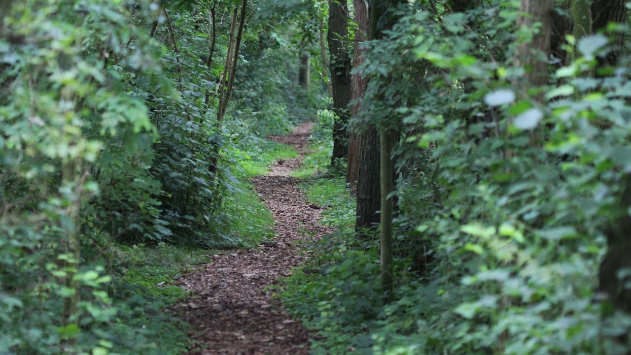 Hoofdfoto nieuws: Natuur en vakantieparken: denken vanuit kansen